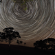 Photographer: Scott Carnie-Bronca (Australia)